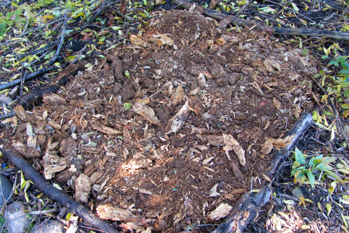 Rough cut wood mulch