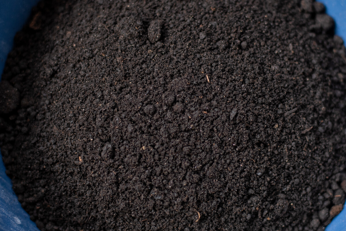 worm castings