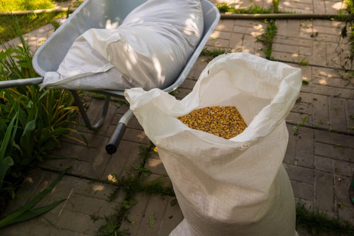 Open bag of chicken feed, one bag in wheelbarrow

