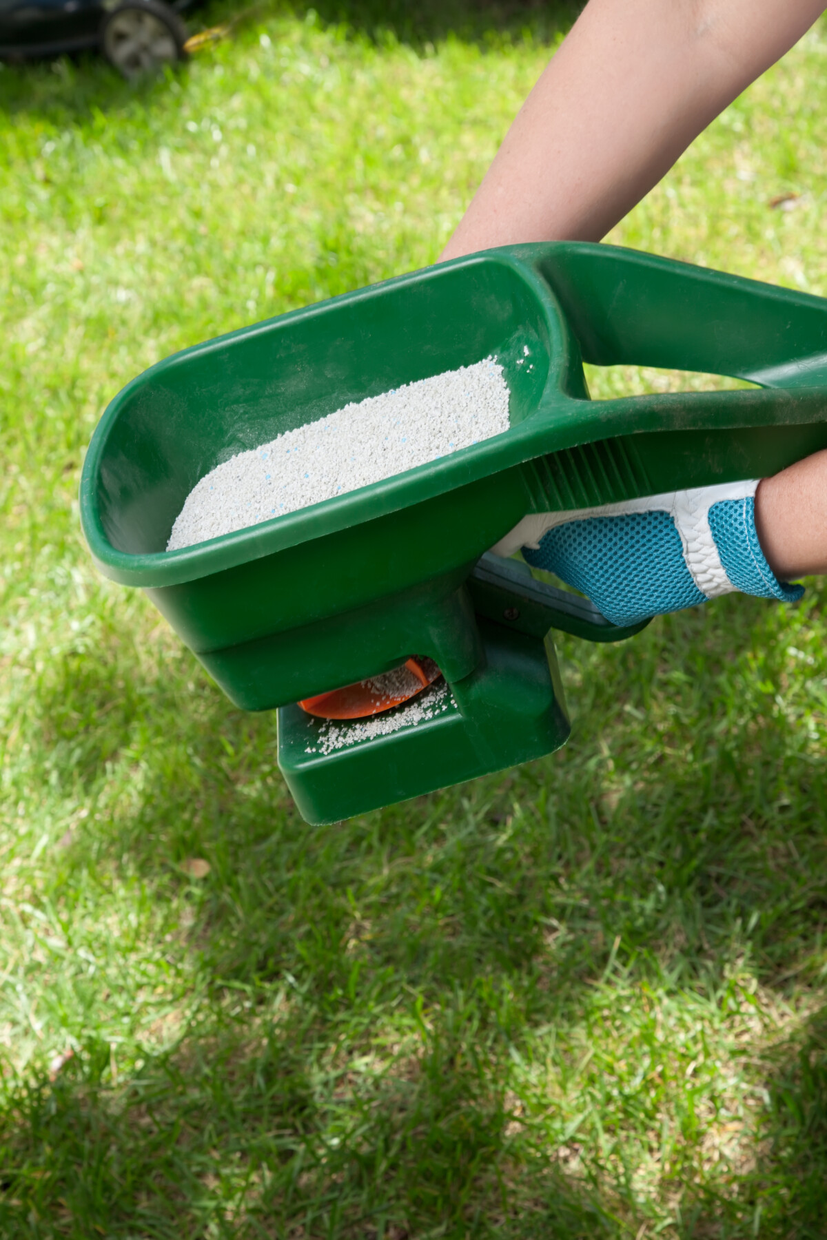 woman's hands holding a grass hopper filled with fertilizer
