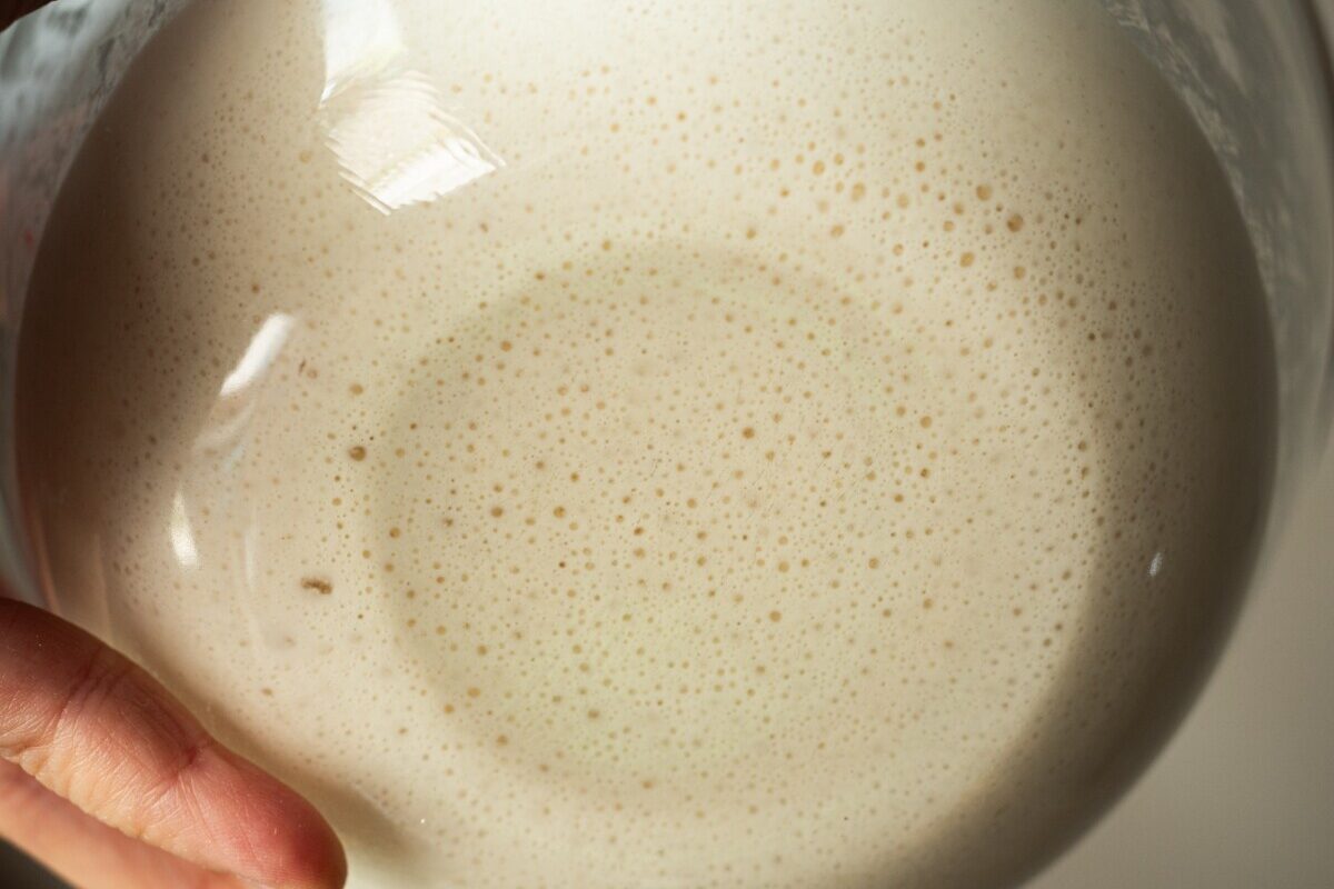 Bubbling sourdough starter