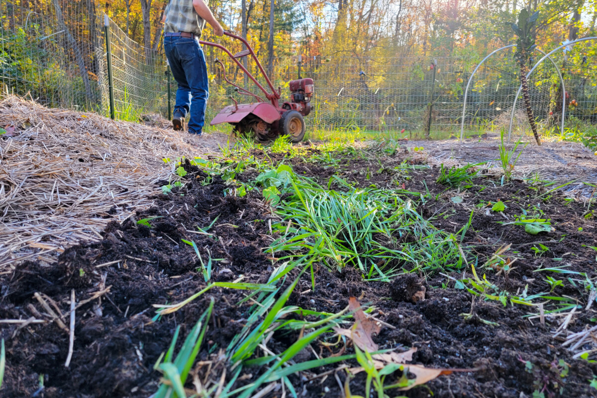 Tilled garden row, man with rototiller at the end of it