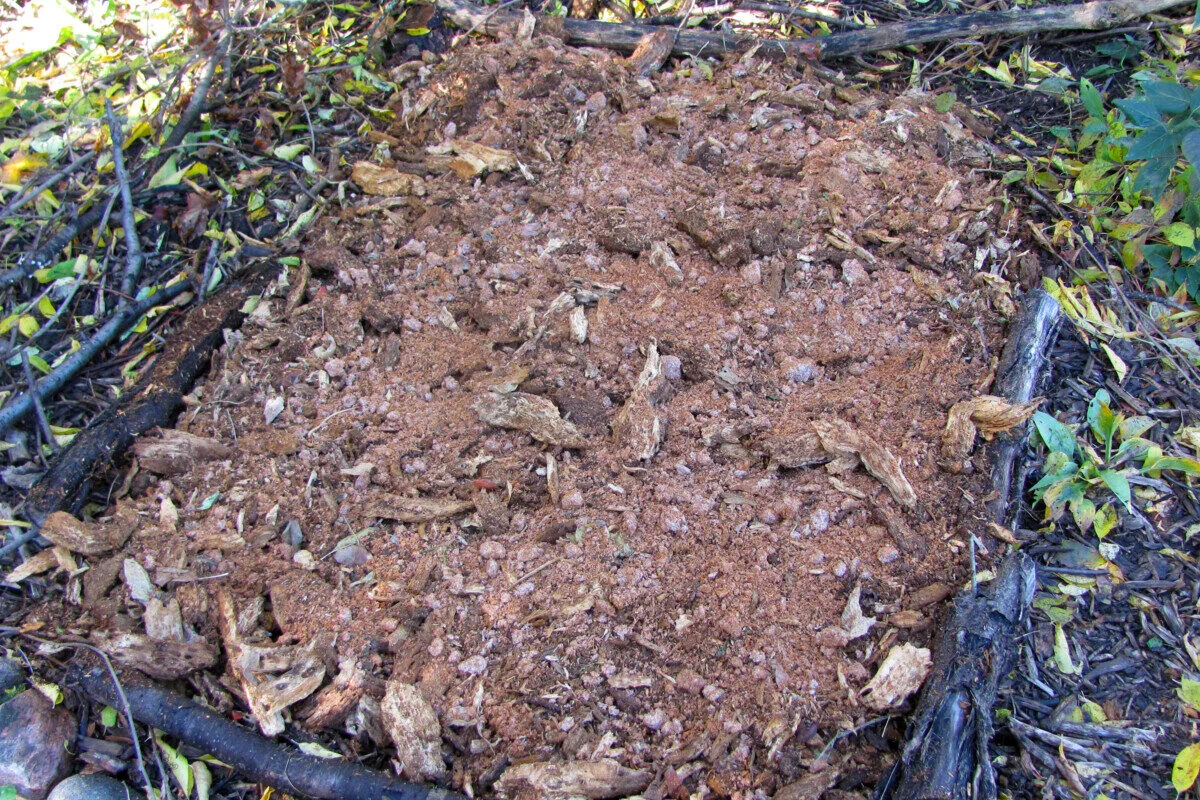 Bed of mulch