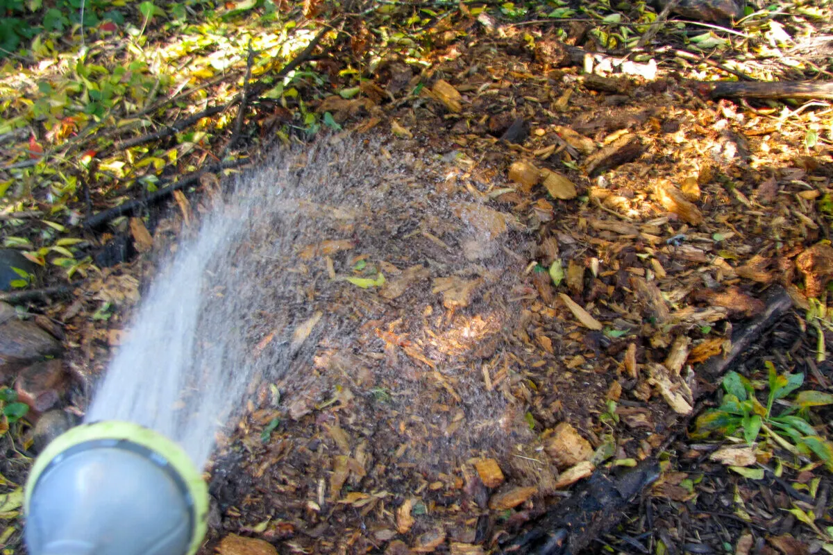 Hose watering mulch