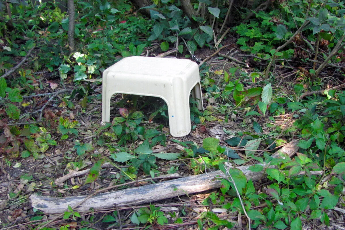 Step stool