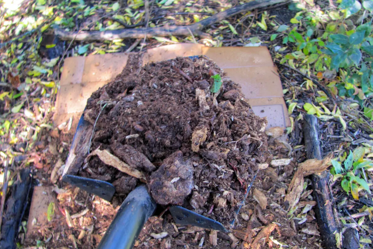 Shovel full of dirt and mulch