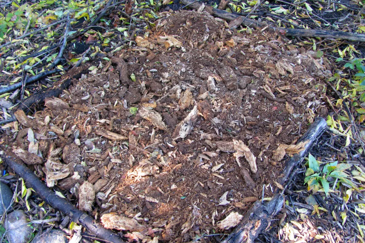 Rough cut wood mulch