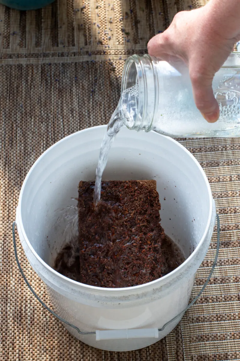 Woman's hand pouring water over coco coir brick