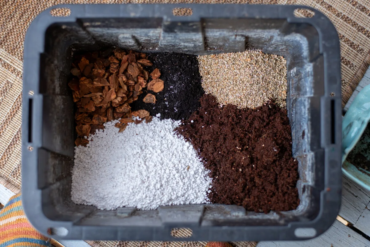Overhead view of African violet potting mix ingredients in a container, unmixed