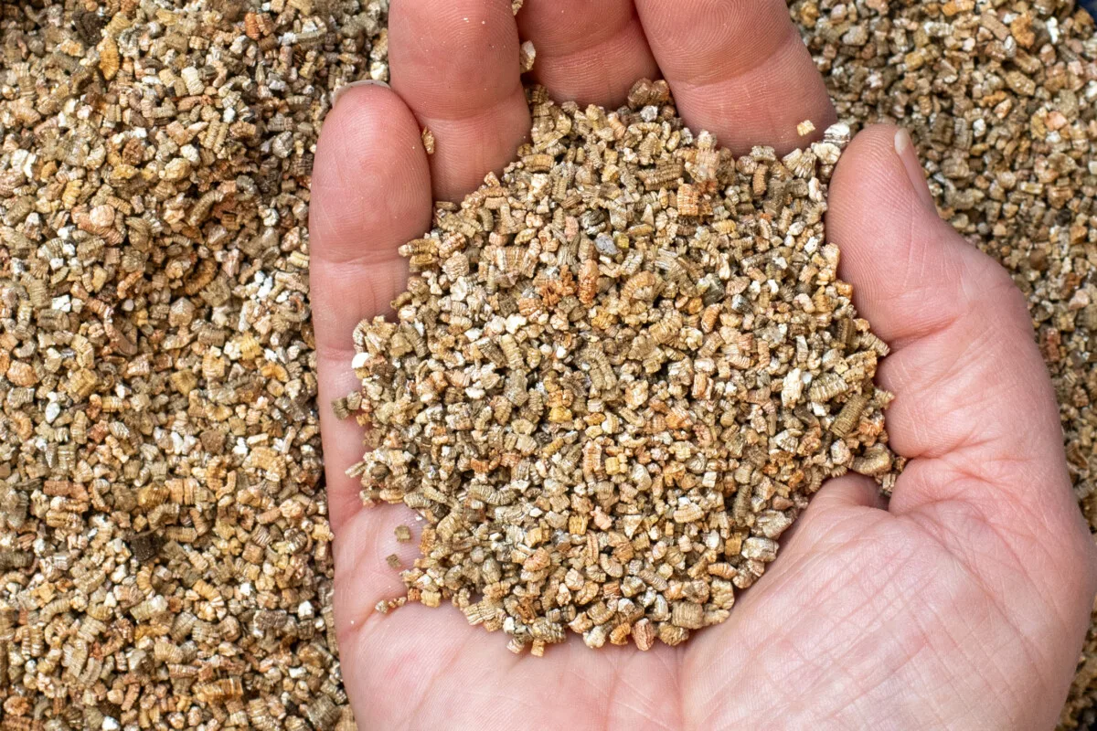 vermiculite