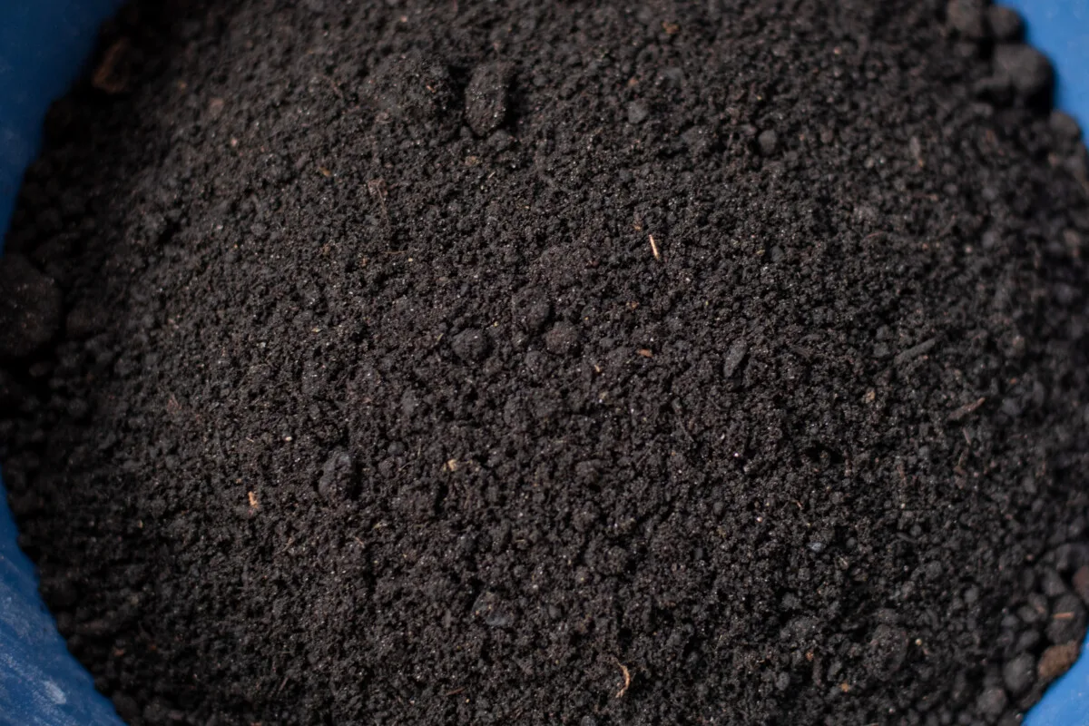worm castings