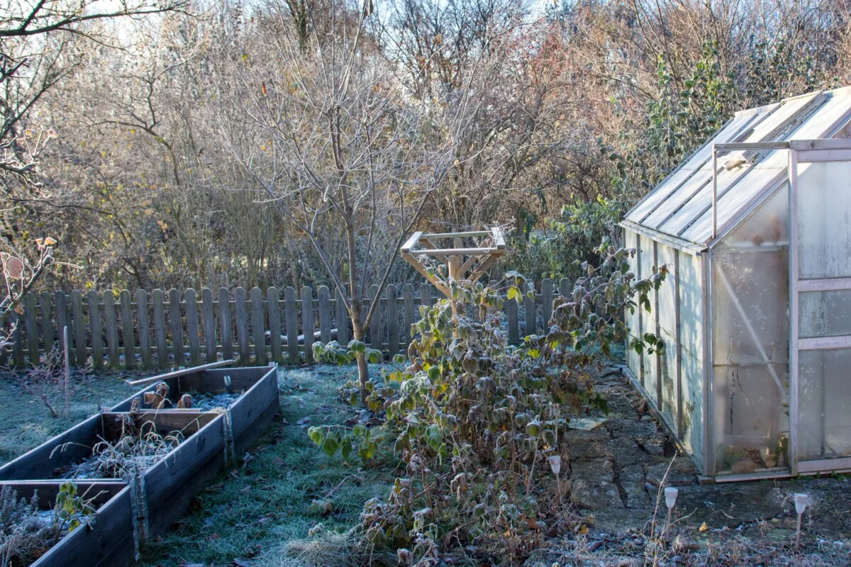 Frosty garden scene in later fall.