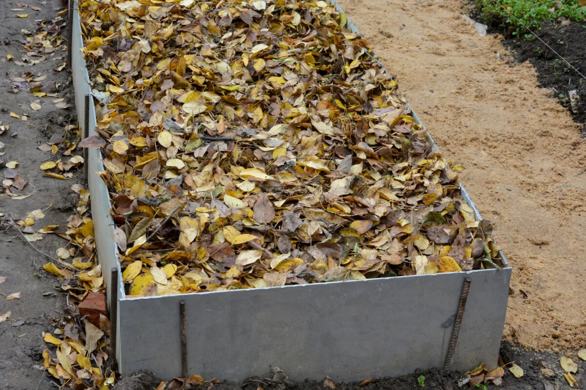Leaves covering raised bed.