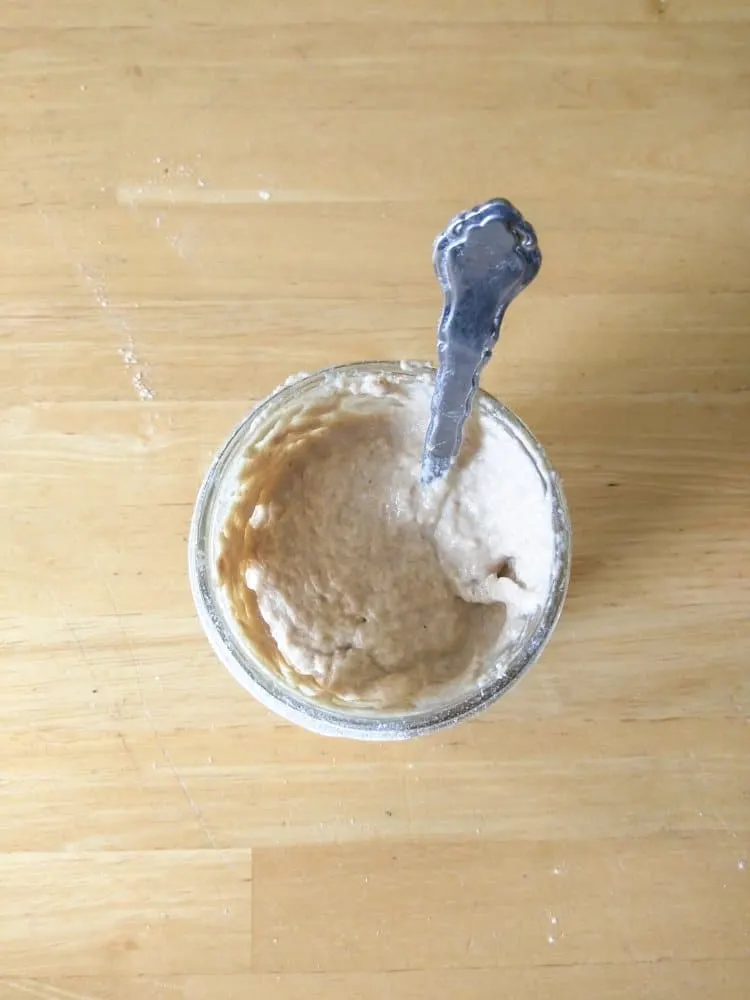 Sourdough starter