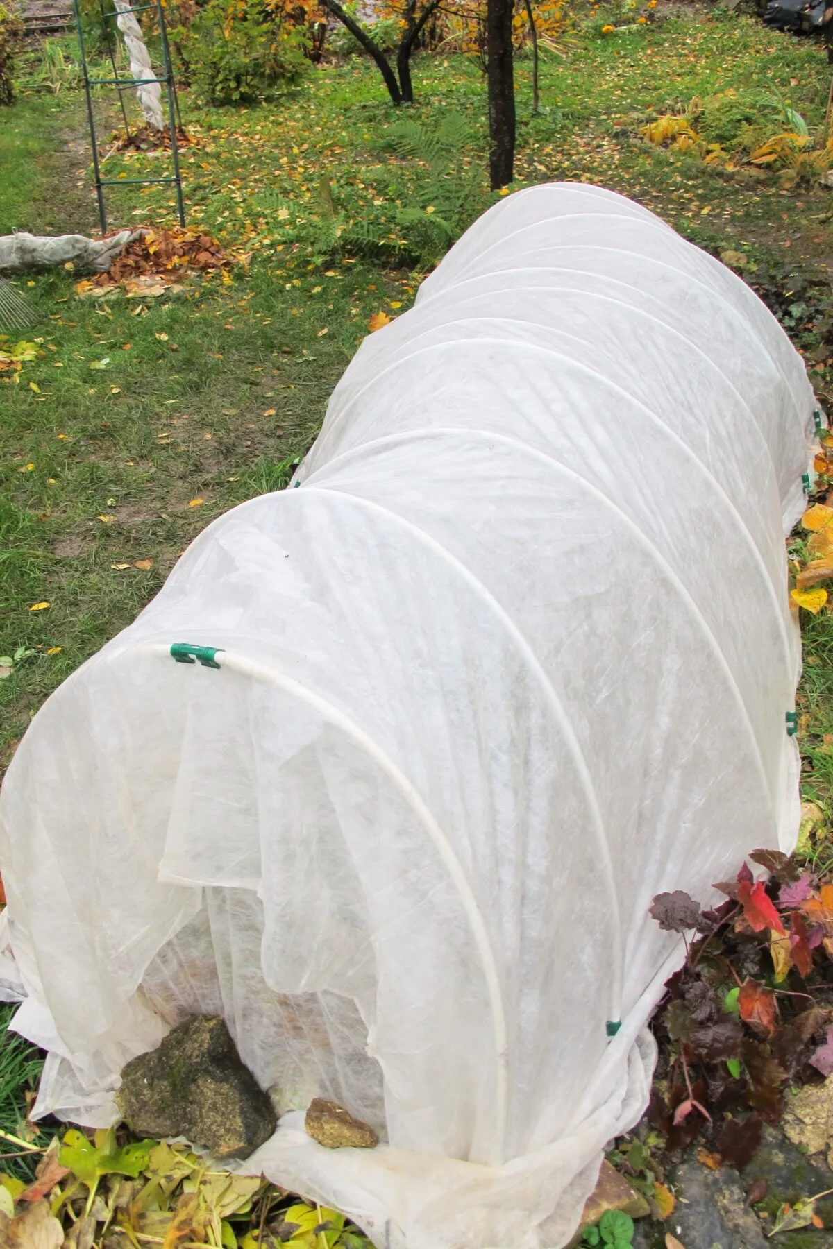 Garden covered by poly fabric.