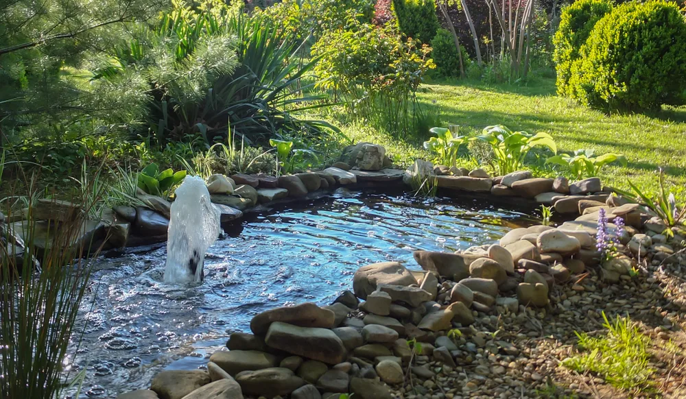 small decorative pond