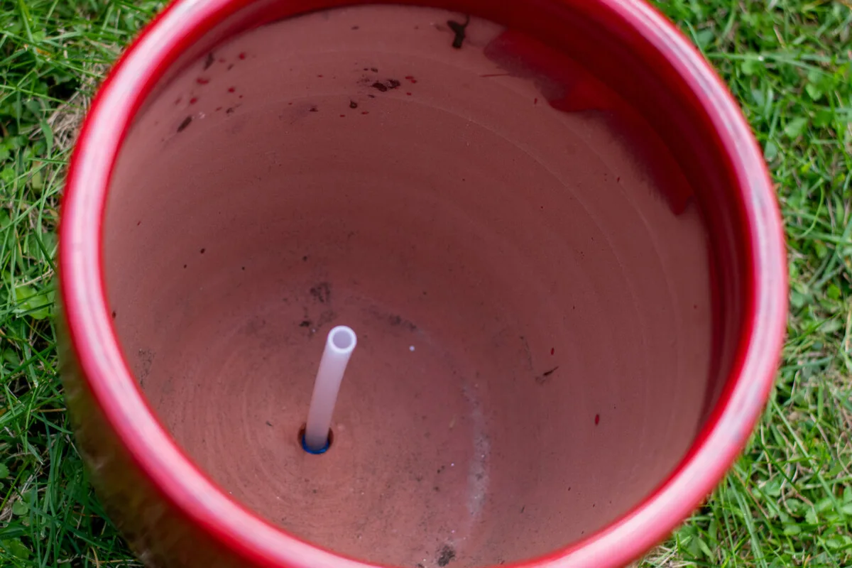 Tubing sticking up out of drainage hole in planter