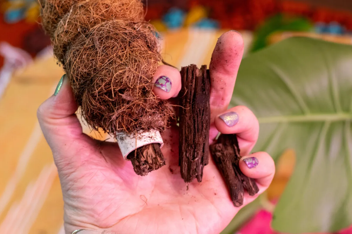 Broken coconut coir stake