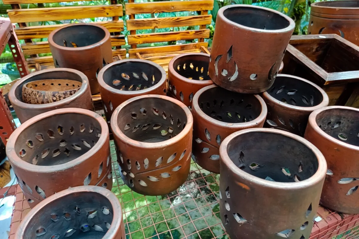 A selection of orchid pots.