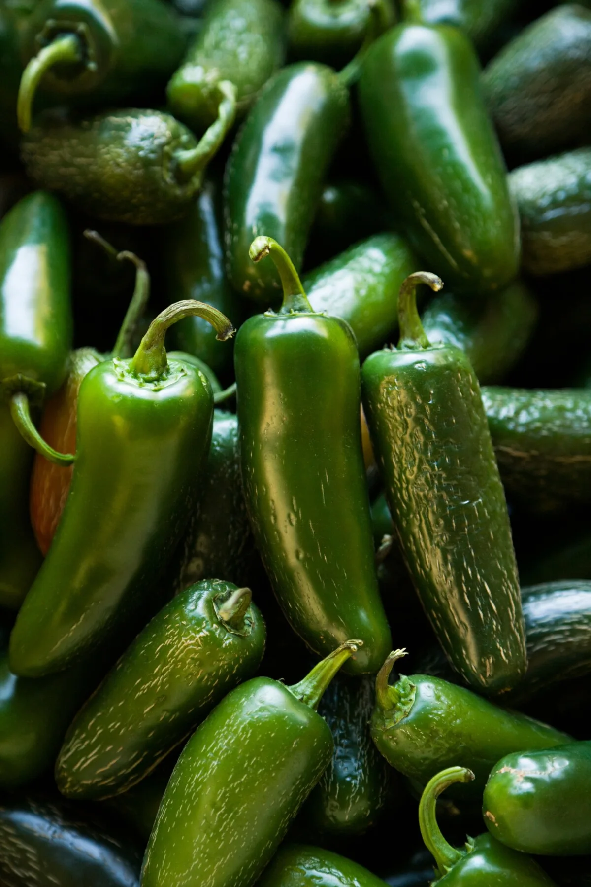 corked jalapenos