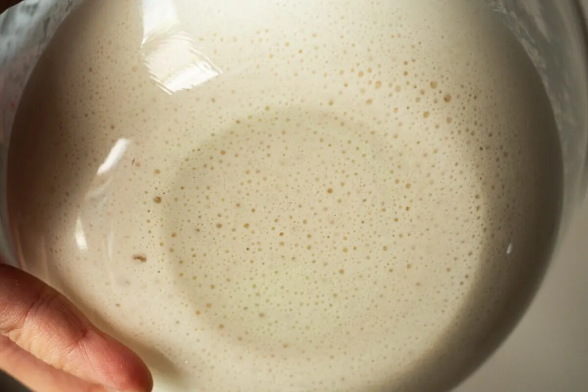 Bubbling sourdough starter