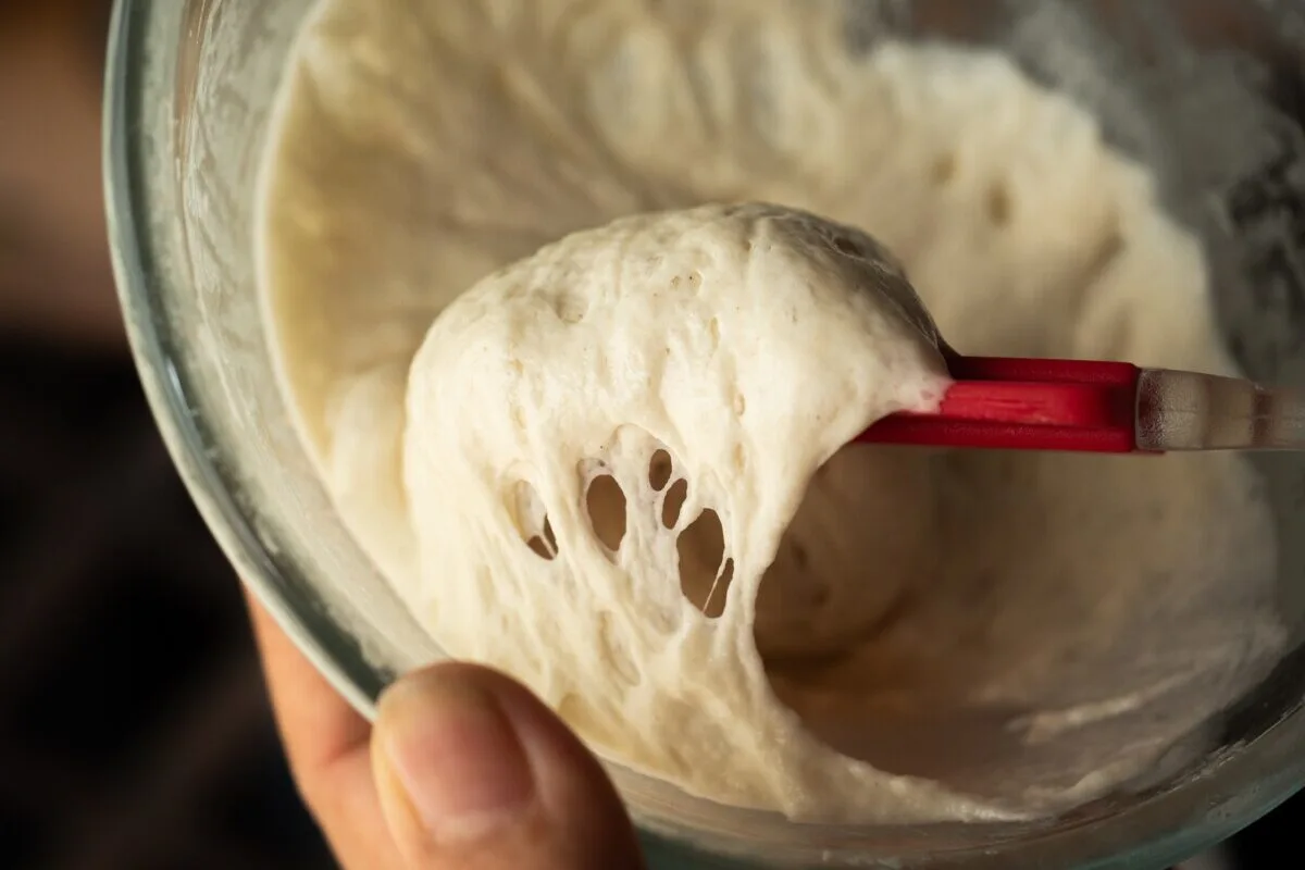 Sourdough dough