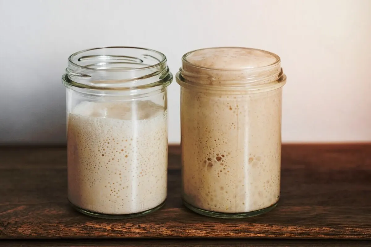 Two types of sourdough starter