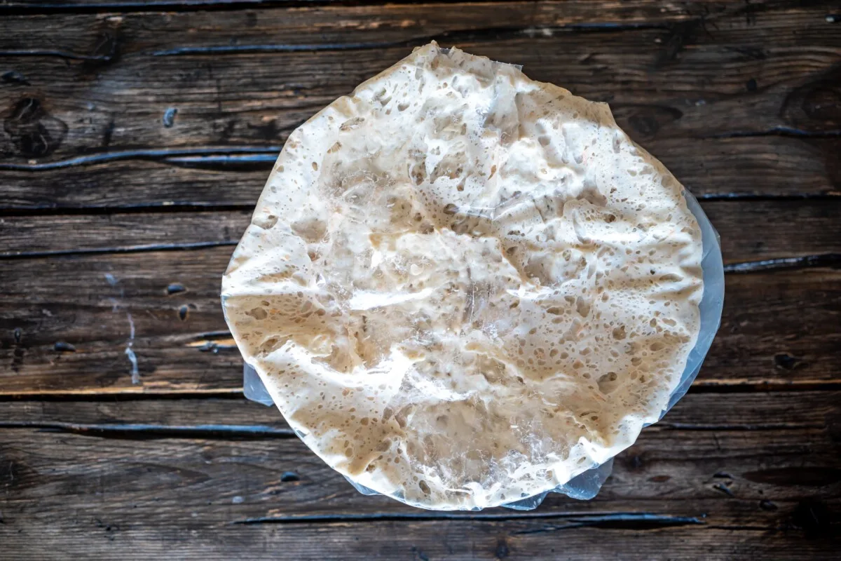 Sourdough rising