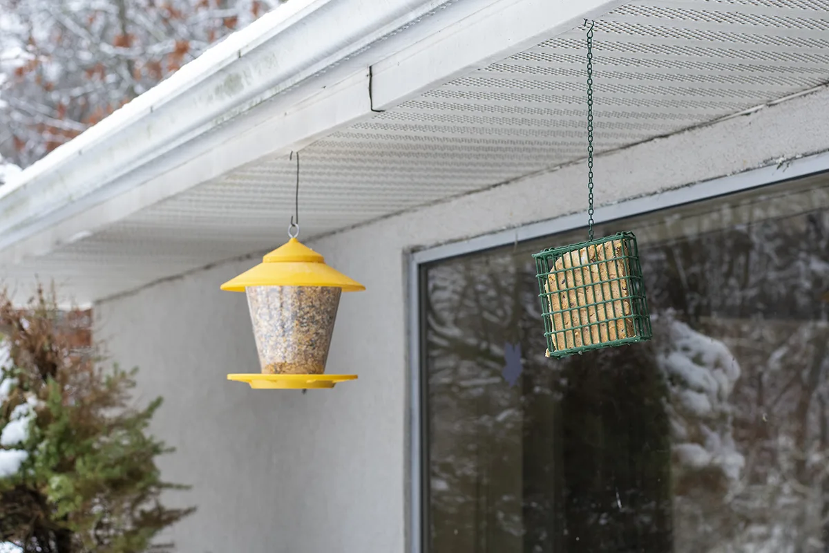 Full bird feeder and suet in cage