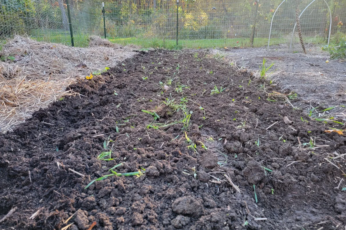 Dark grown earth in a garden